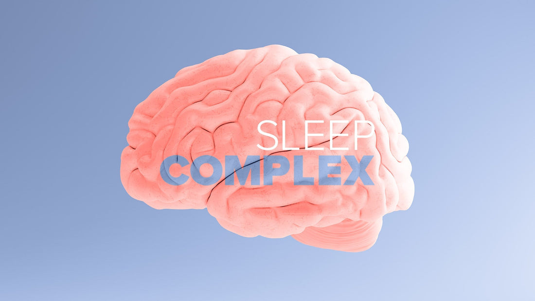 Melatonin Is Important for Brain Detoxification