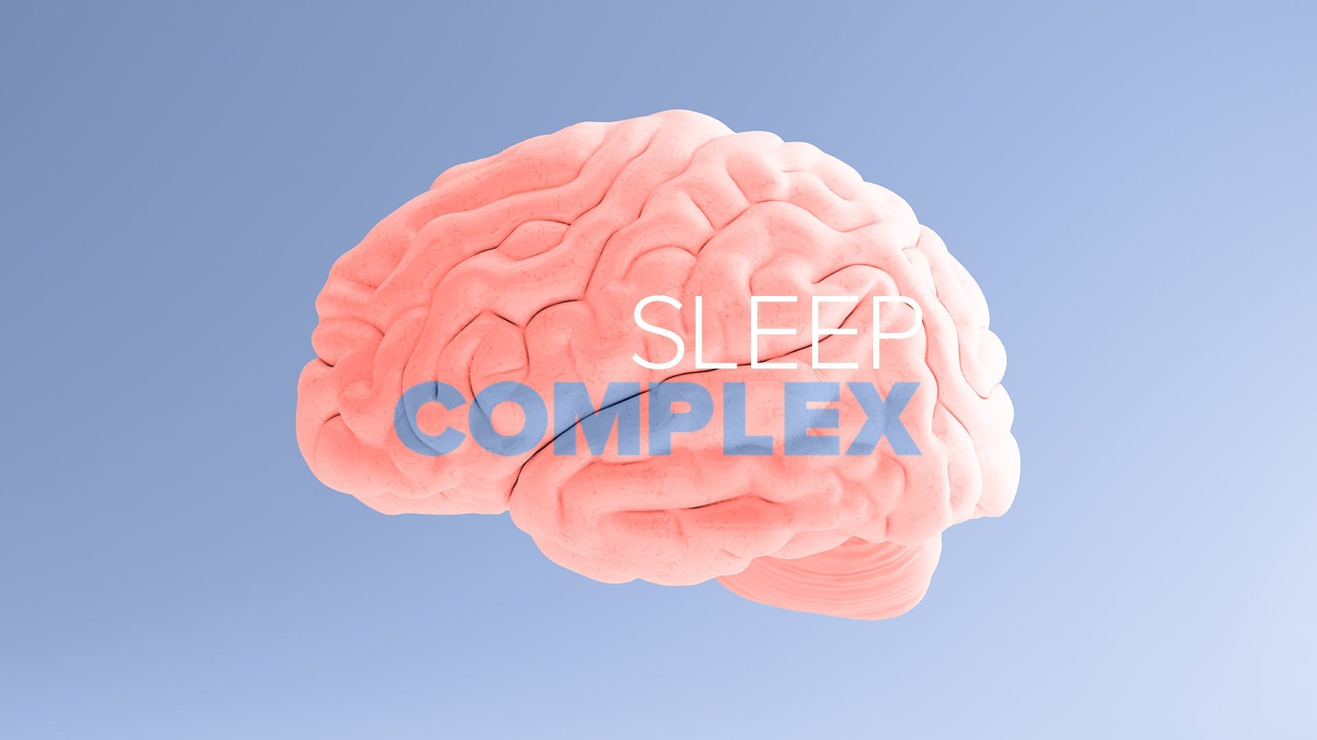 Melatonin Is Important for Brain Detoxification