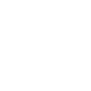 USA Flag