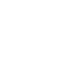No Synthetic Fillers