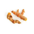 CURCUMIN FROM TURMERIC